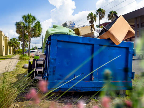 Yard Cleanup Services in Gettysburg, SD